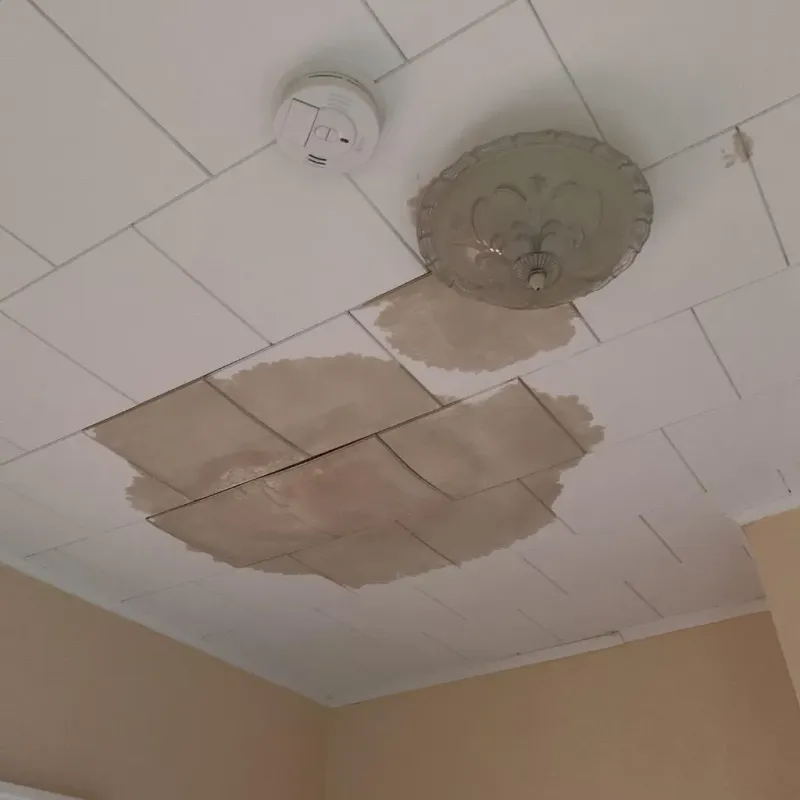 Ceiling Water Damage Repair in Huntington Bay, NY