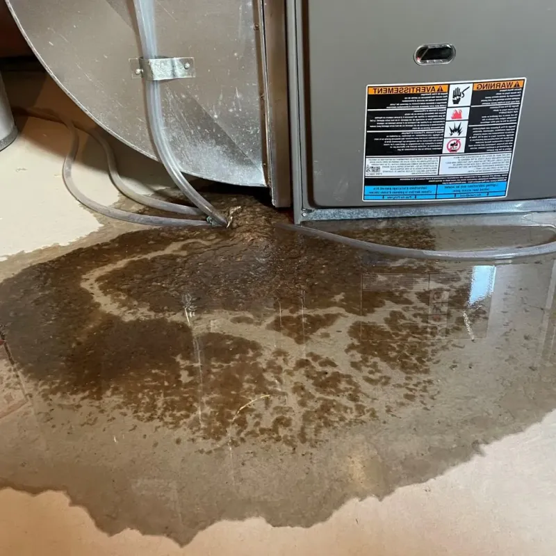 Pipe Burst and Leak Restoration in Huntington Bay, NY